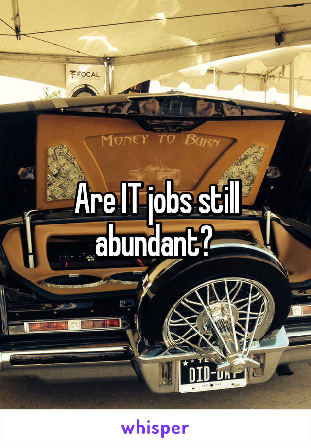 Are IT jobs still abundant? 