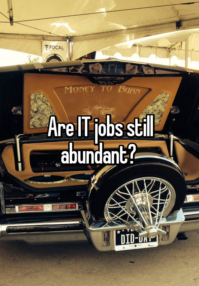 Are IT jobs still abundant? 