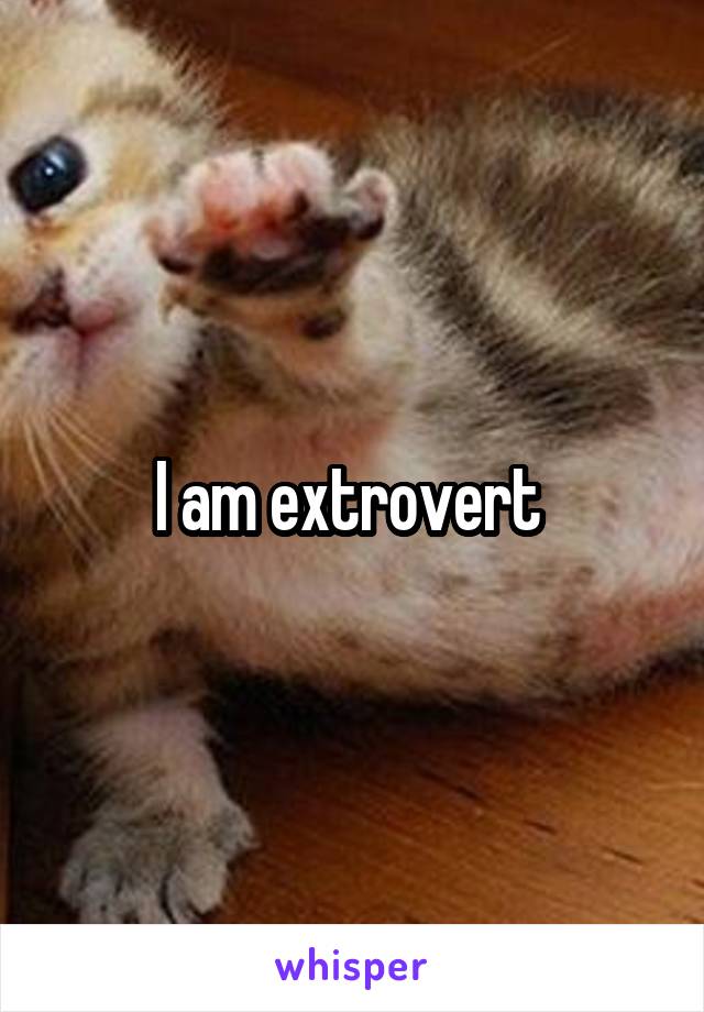 I am extrovert 