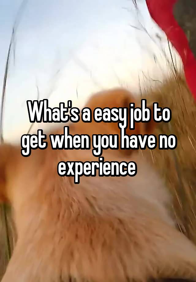 What's a easy job to get when you have no experience 