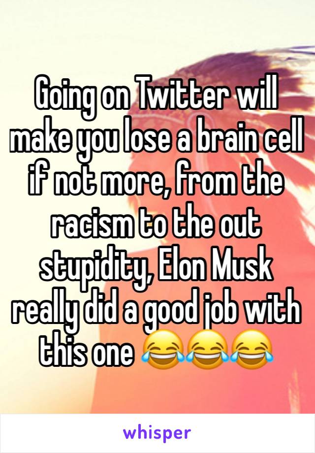 Going on Twitter will make you lose a brain cell if not more, from the racism to the out stupidity, Elon Musk really did a good job with this one 😂😂😂