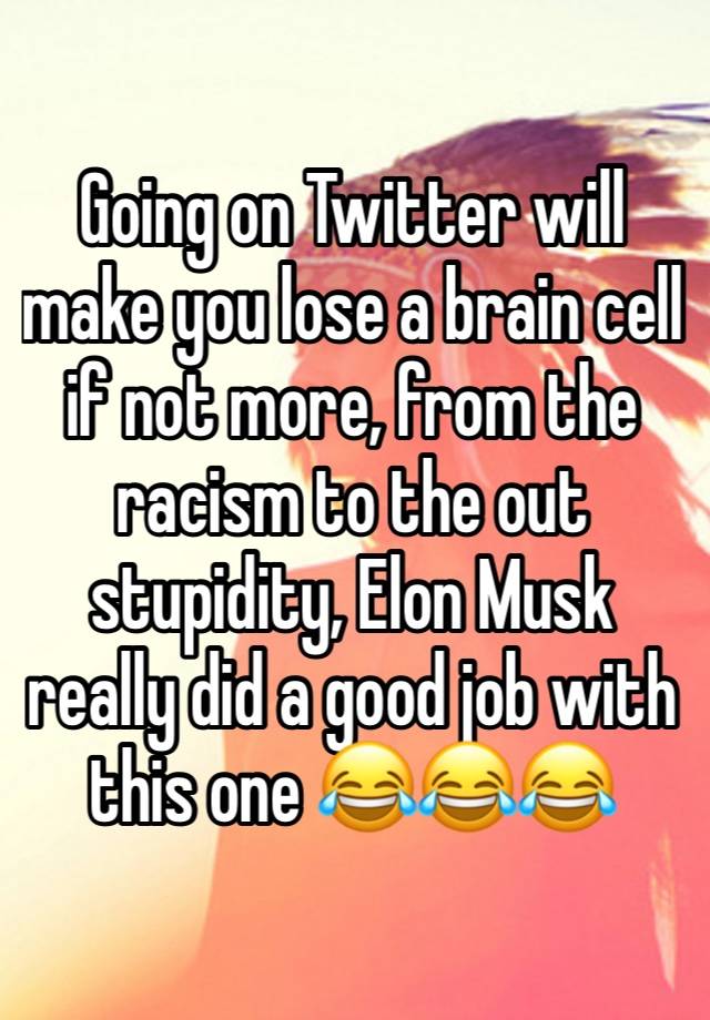 Going on Twitter will make you lose a brain cell if not more, from the racism to the out stupidity, Elon Musk really did a good job with this one 😂😂😂