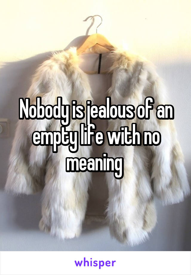 Nobody is jealous of an empty life with no meaning 