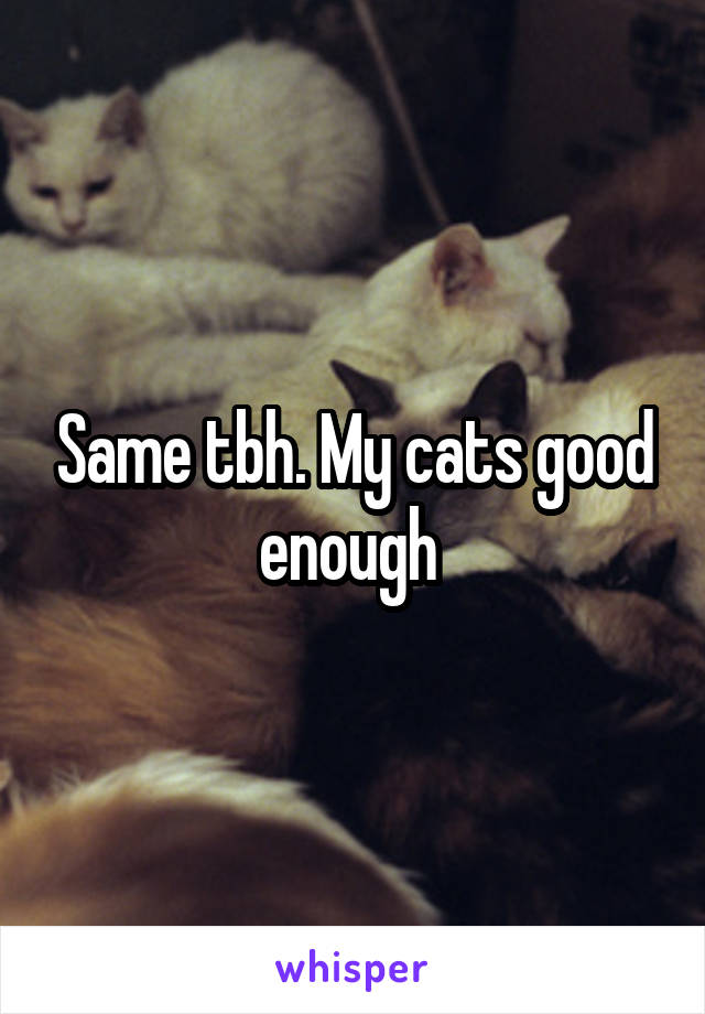 Same tbh. My cats good enough 