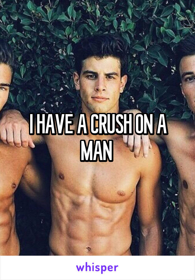 I HAVE A CRUSH ON A MAN 