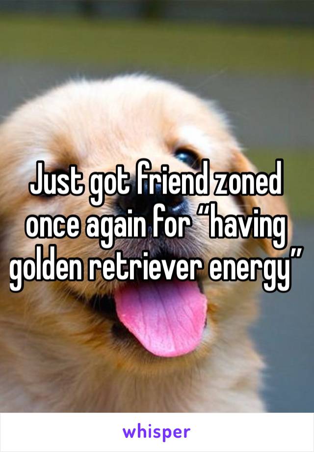 Just got friend zoned once again for “having golden retriever energy”