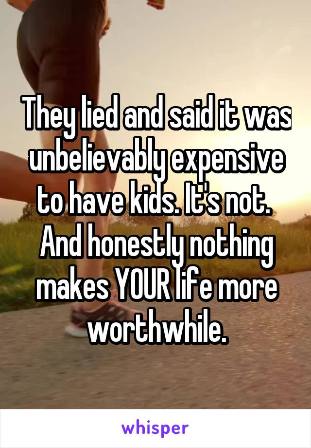 They lied and said it was unbelievably expensive to have kids. It's not.  And honestly nothing makes YOUR life more worthwhile.