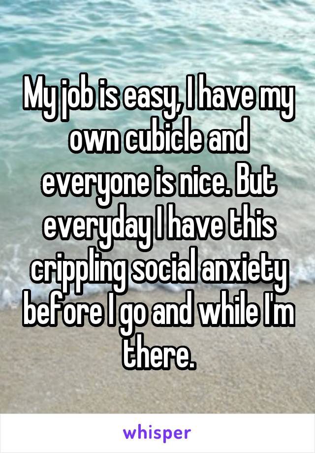 My job is easy, I have my own cubicle and everyone is nice. But everyday I have this crippling social anxiety before I go and while I'm there.