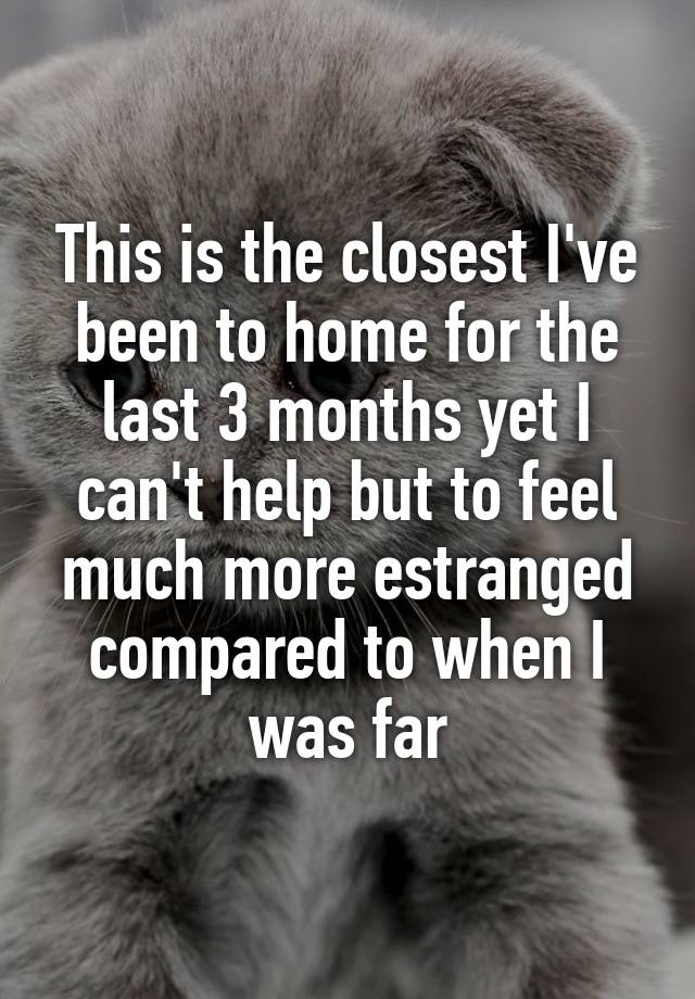 This is the closest I've been to home for the last 3 months yet I can't help but to feel much more estranged compared to when I was far