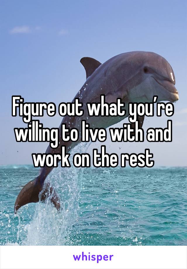 Figure out what you’re willing to live with and work on the rest