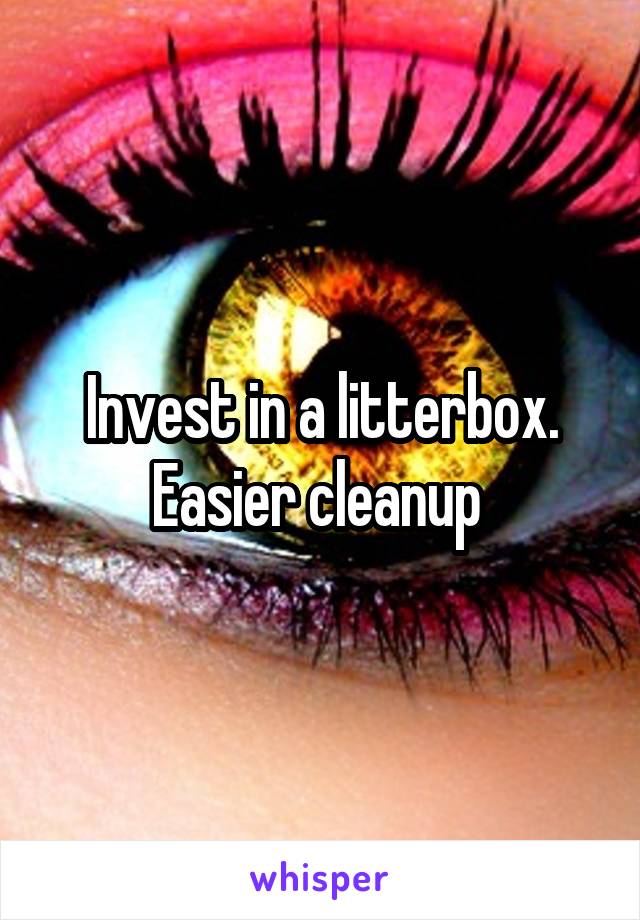 Invest in a litterbox. Easier cleanup 