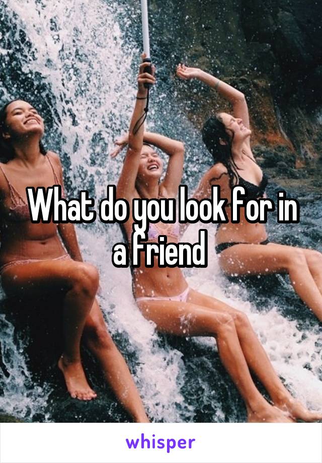 What do you look for in a friend 