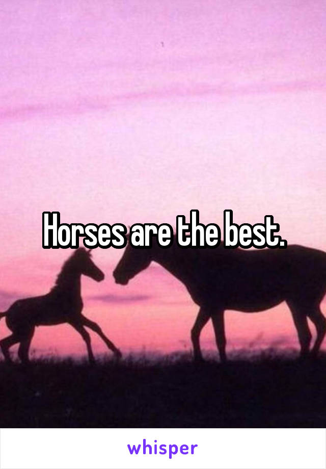 Horses are the best.