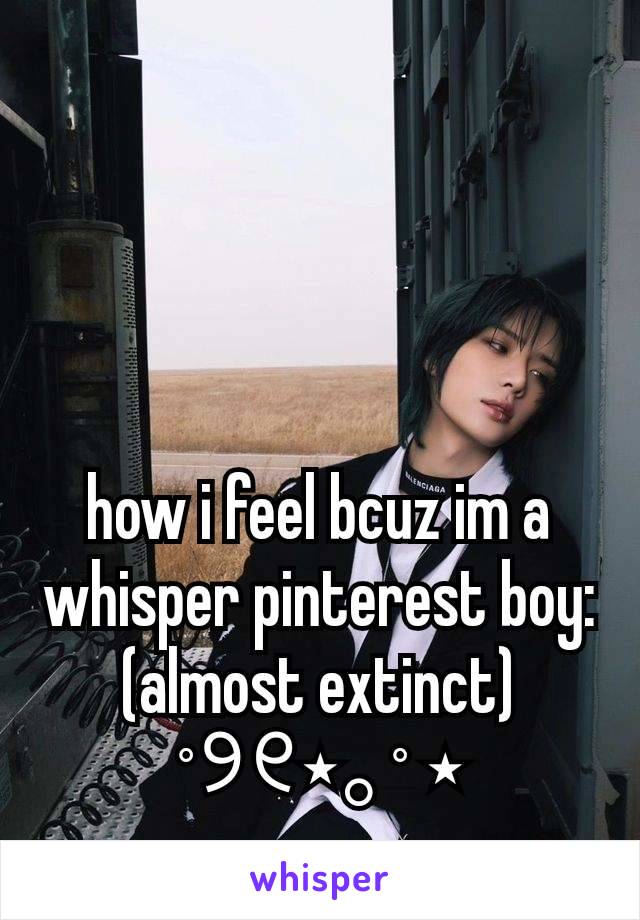 how i feel bcuz im a whisper pinterest boy: (almost extinct)
˚୨୧⋆｡˚ ⋆