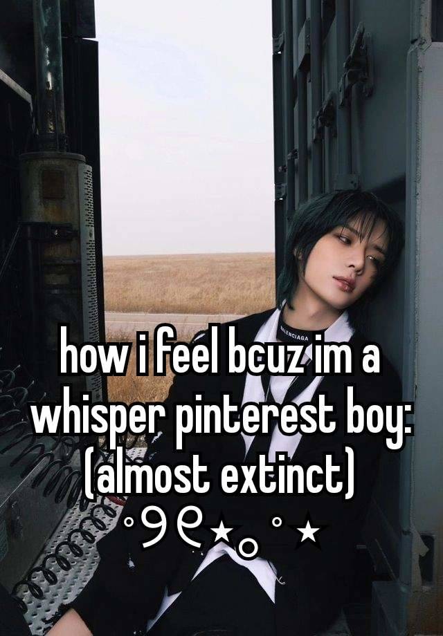 how i feel bcuz im a whisper pinterest boy: (almost extinct)
˚୨୧⋆｡˚ ⋆