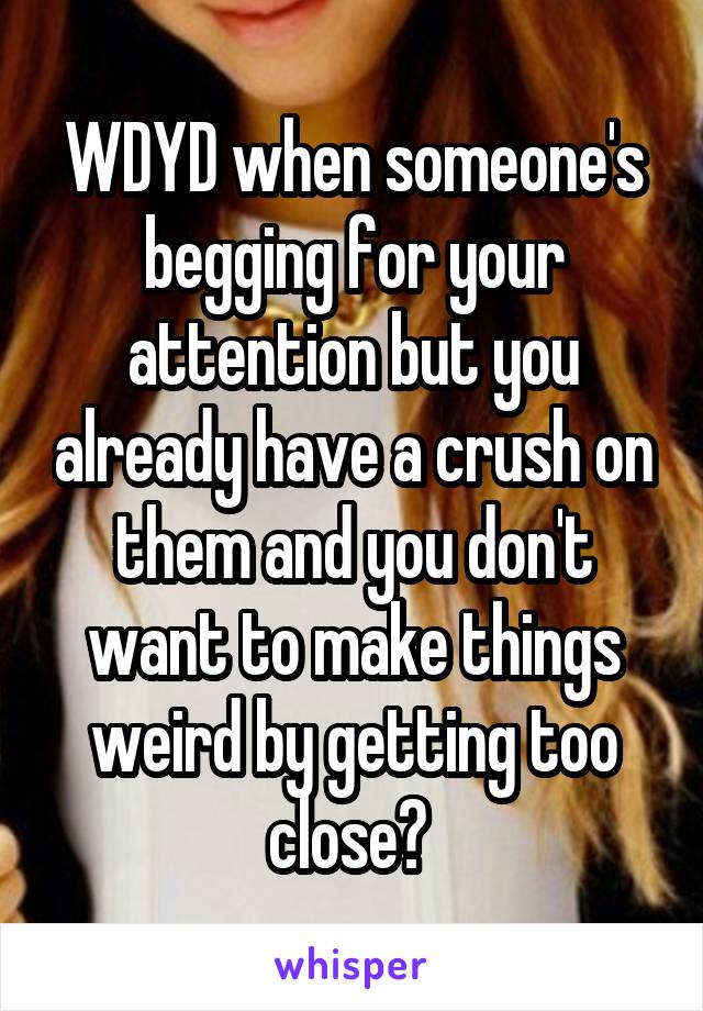 WDYD when someone's begging for your attention but you already have a crush on them and you don't want to make things weird by getting too close? 