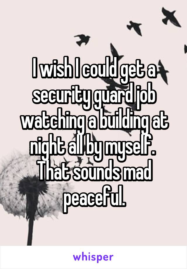 I wish I could get a security guard job watching a building at night all by myself.  That sounds mad peaceful.