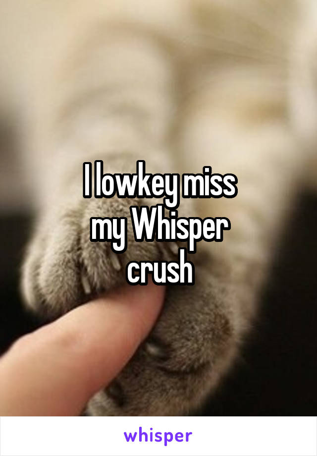 I lowkey miss
my Whisper
crush