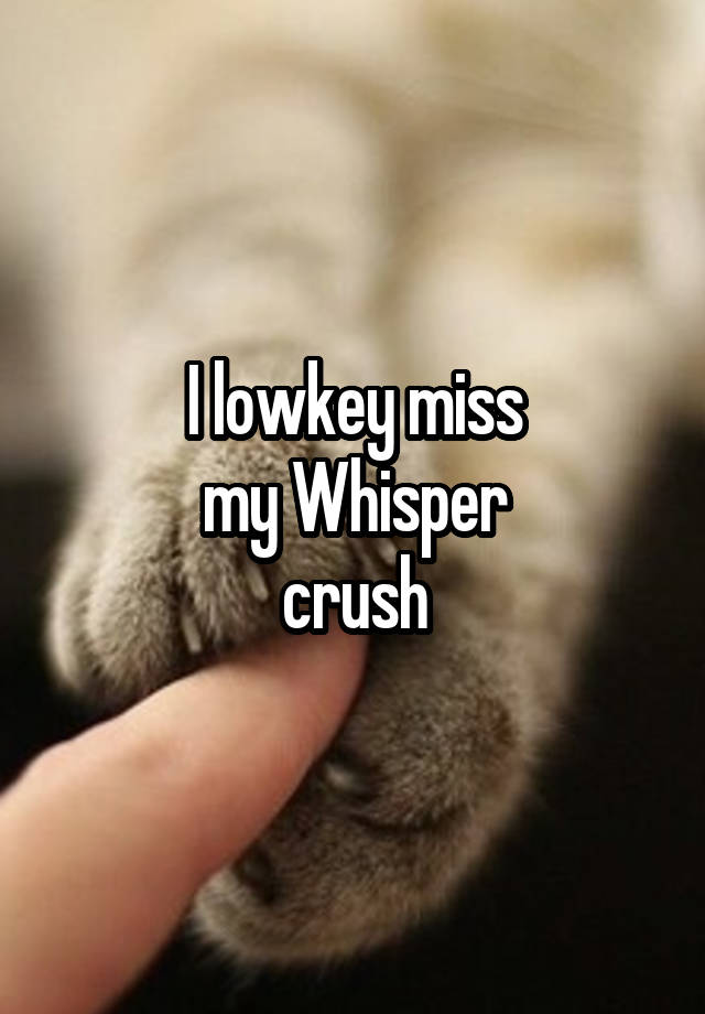 I lowkey miss
my Whisper
crush