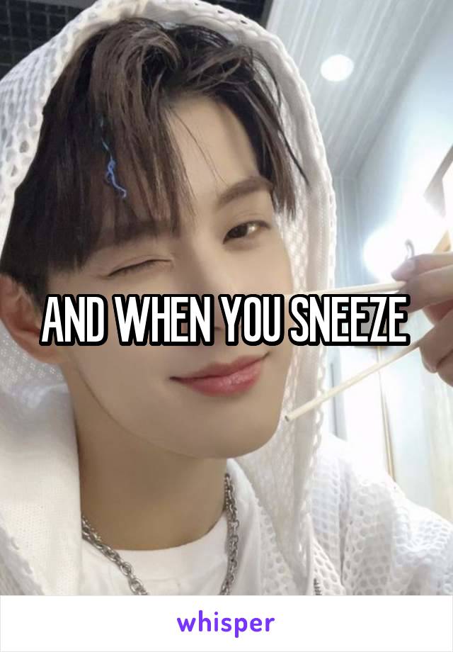 AND WHEN YOU SNEEZE 