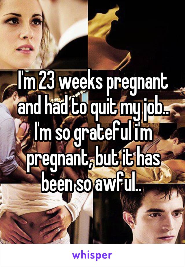 I'm 23 weeks pregnant and had to quit my job.. I'm so grateful i'm pregnant, but it has been so awful.. 