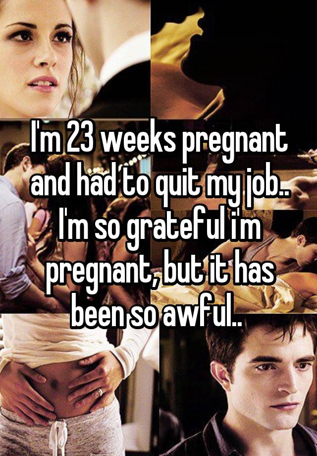 I'm 23 weeks pregnant and had to quit my job.. I'm so grateful i'm pregnant, but it has been so awful.. 