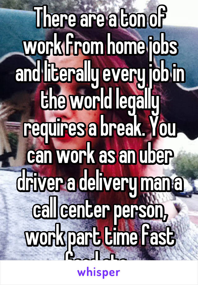 There are a ton of work from home jobs and literally every job in the world legally requires a break. You can work as an uber driver a delivery man a call center person, work part time fast food etc. 