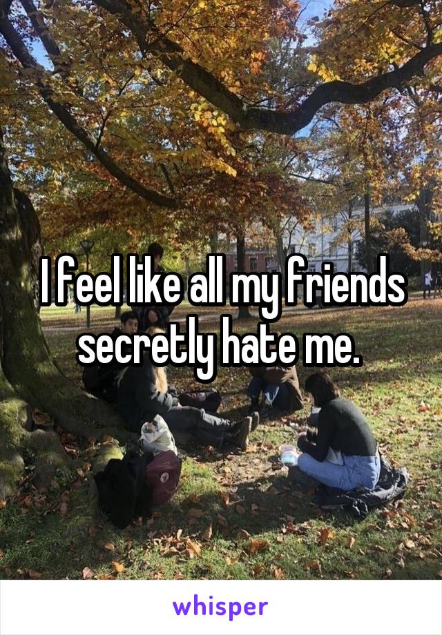 I feel like all my friends secretly hate me. 