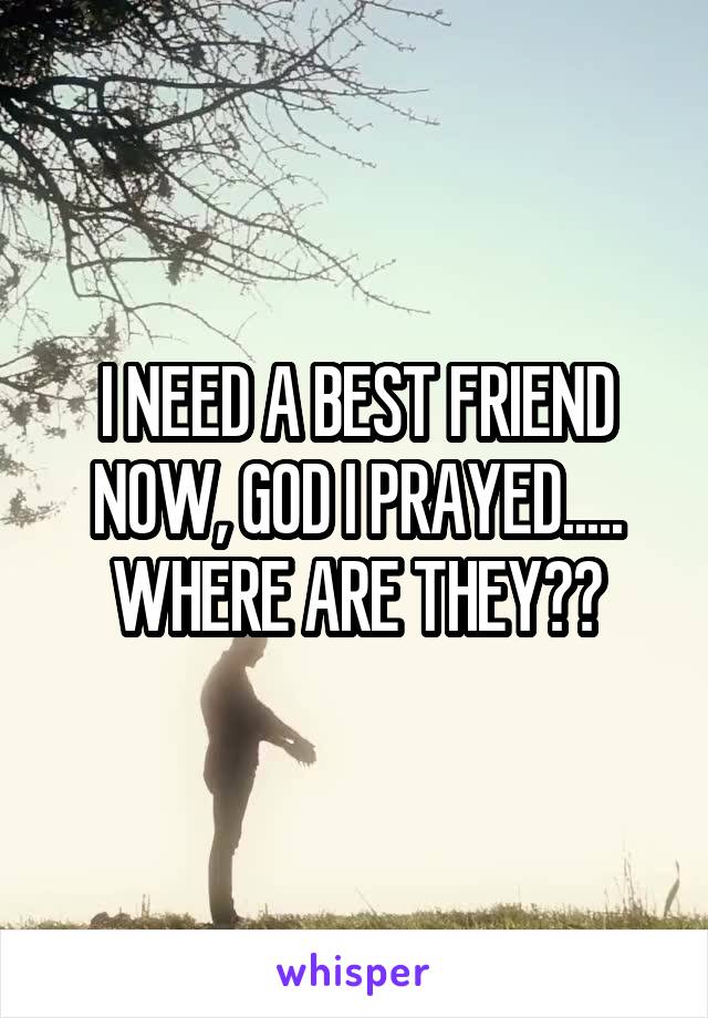 I NEED A BEST FRIEND NOW, GOD I PRAYED..... WHERE ARE THEY??