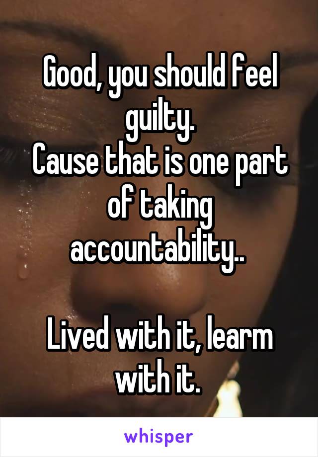 Good, you should feel guilty.
Cause that is one part of taking accountability.. 

Lived with it, learm with it. 