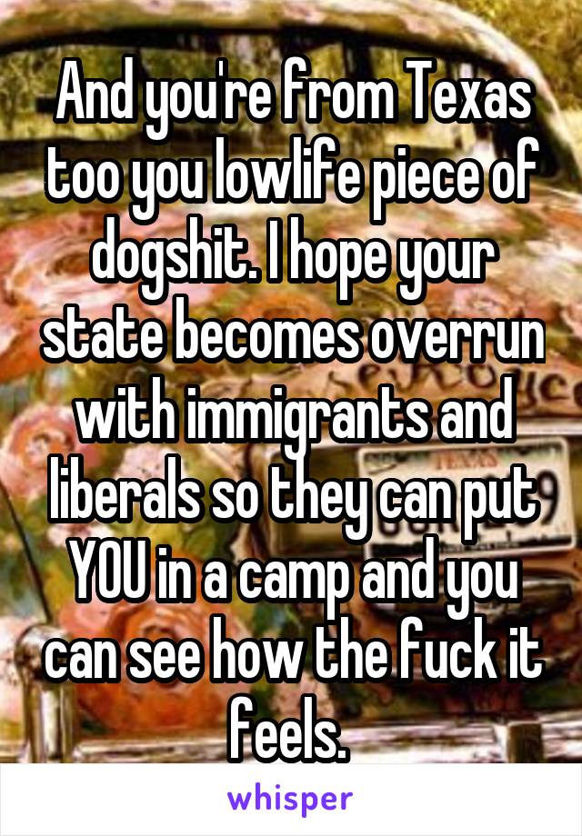 And you're from Texas too you lowlife piece of dogshit. I hope your state becomes overrun with immigrants and liberals so they can put YOU in a camp and you can see how the fuck it feels. 