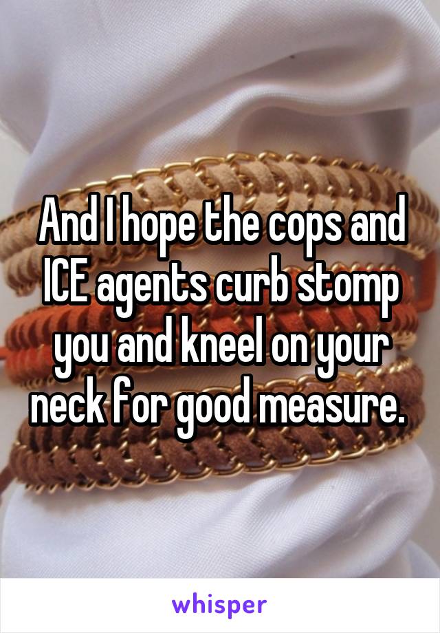 And I hope the cops and ICE agents curb stomp you and kneel on your neck for good measure. 