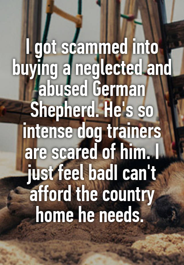 I got scammed into buying a neglected and abused German Shepherd. He's so intense dog trainers are scared of him. I just feel badI can't afford the country home he needs. 
