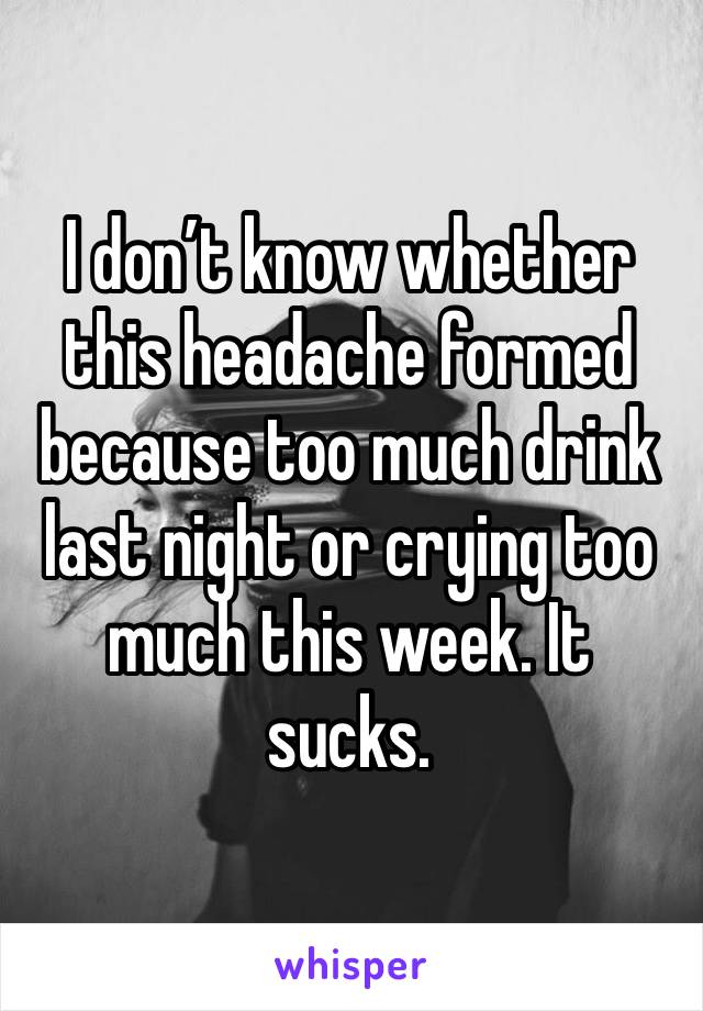 I don’t know whether this headache formed because too much drink last night or crying too much this week. It sucks.