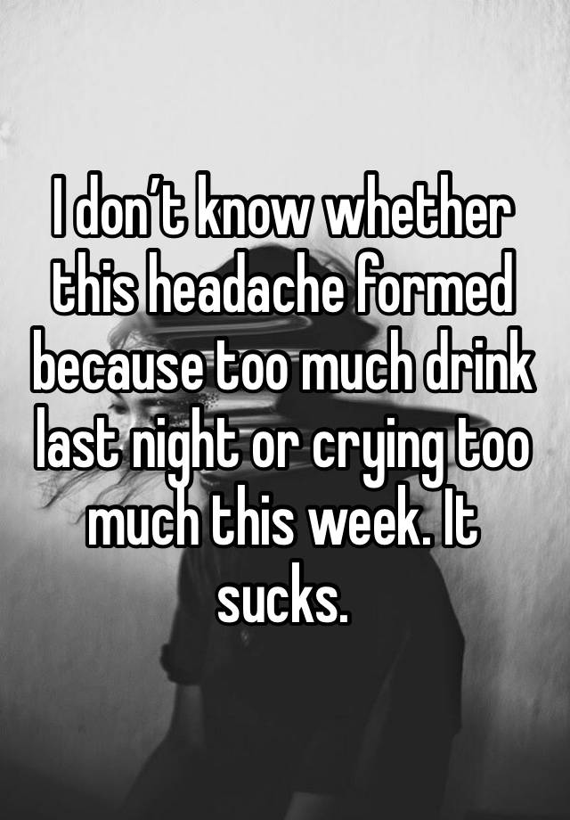 I don’t know whether this headache formed because too much drink last night or crying too much this week. It sucks.