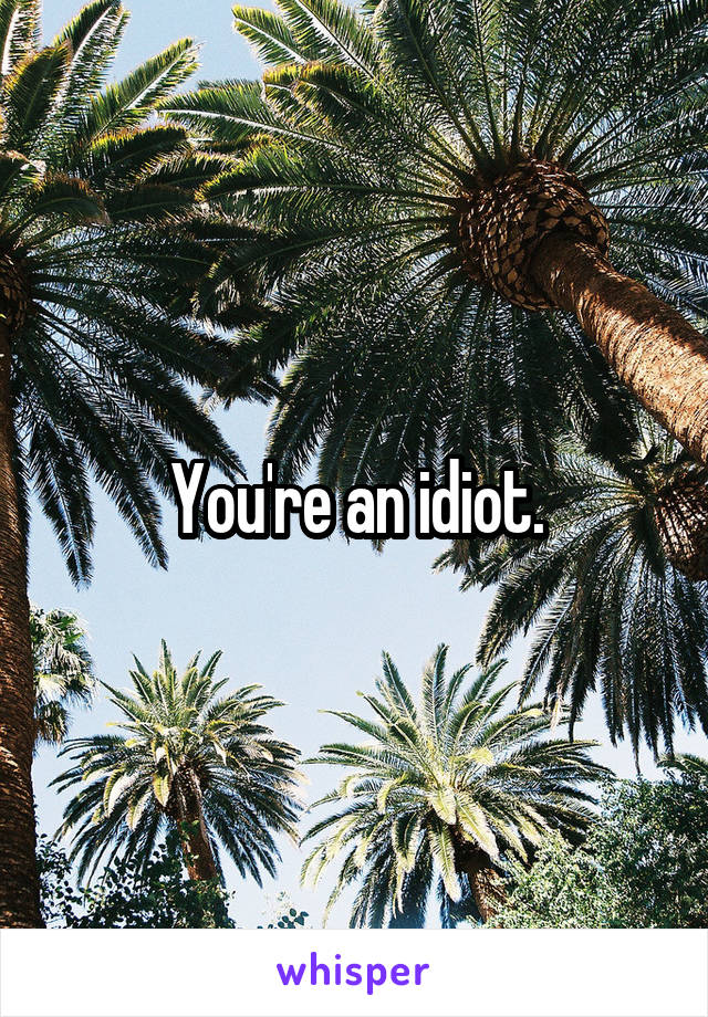 You're an idiot.