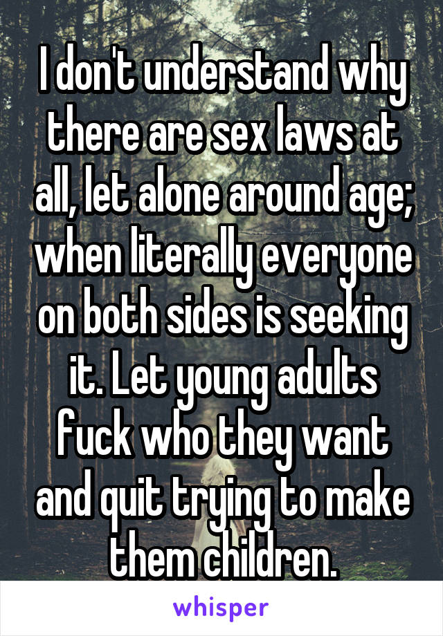 I don't understand why there are sex laws at all, let alone around age; when literally everyone on both sides is seeking it. Let young adults fuck who they want and quit trying to make them children.