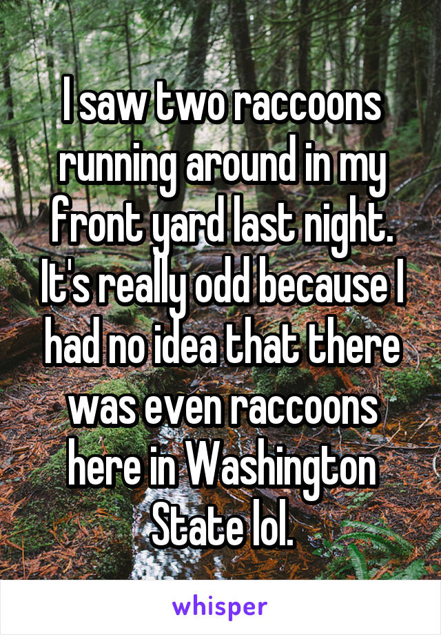 I saw two raccoons running around in my front yard last night. It's really odd because I had no idea that there was even raccoons here in Washington State lol.