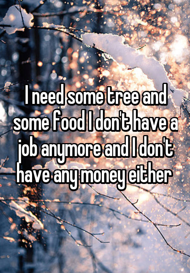 I need some tree and some food I don't have a job anymore and I don't have any money either 