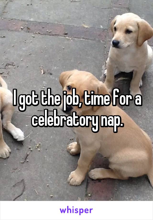 I got the job, time for a celebratory nap.