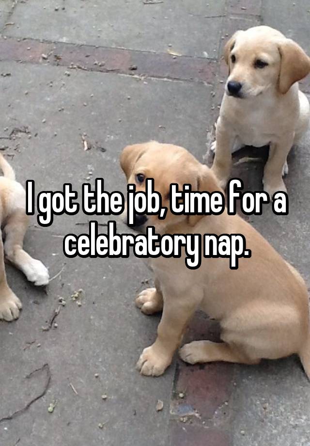 I got the job, time for a celebratory nap.