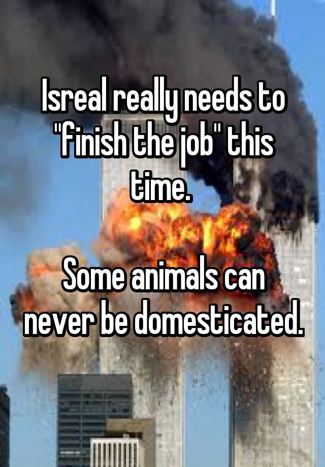 Isreal really needs to "finish the job" this time. 

Some animals can never be domesticated. 