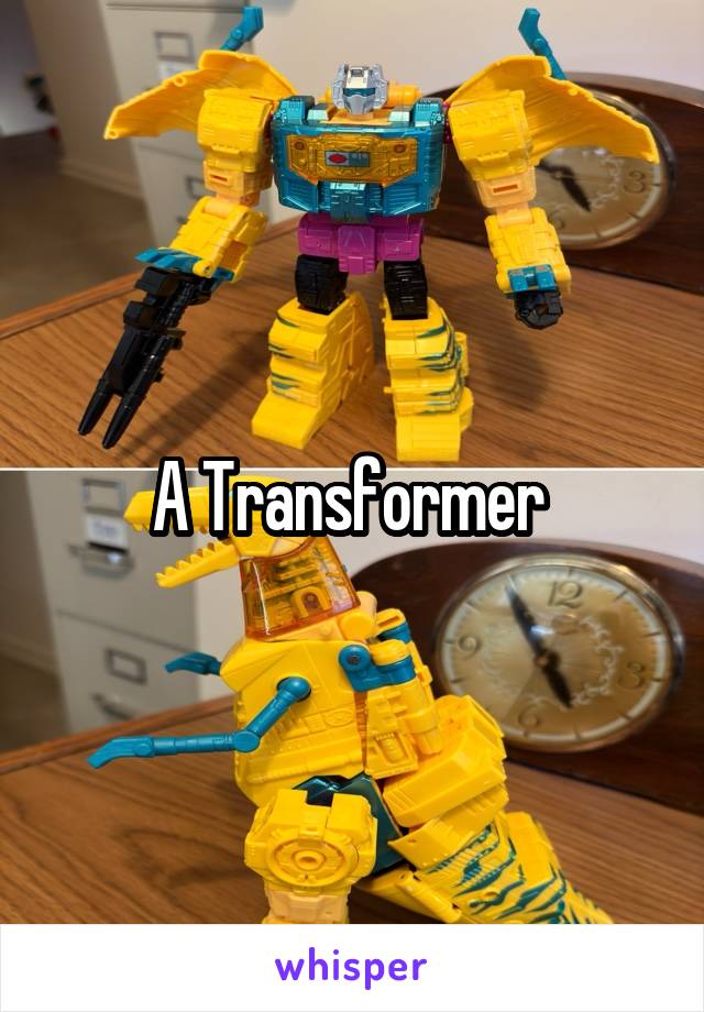 A Transformer 