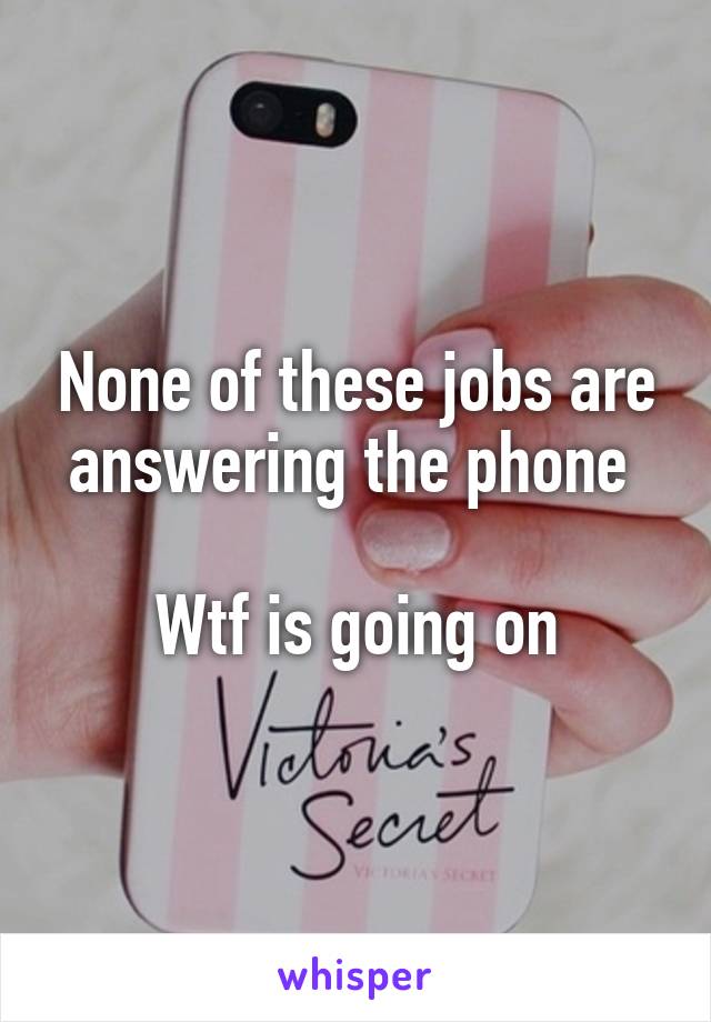 None of these jobs are answering the phone 

Wtf is going on