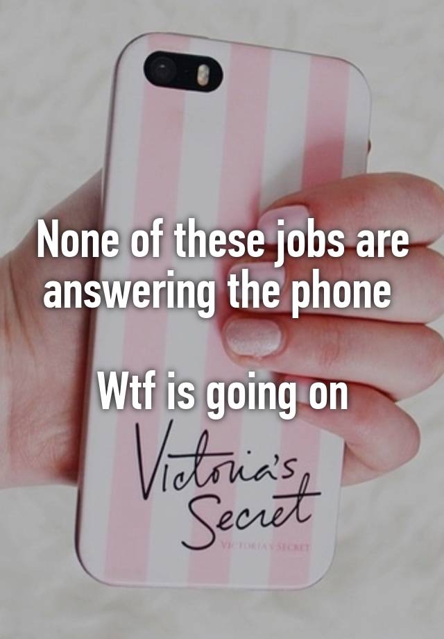 None of these jobs are answering the phone 

Wtf is going on