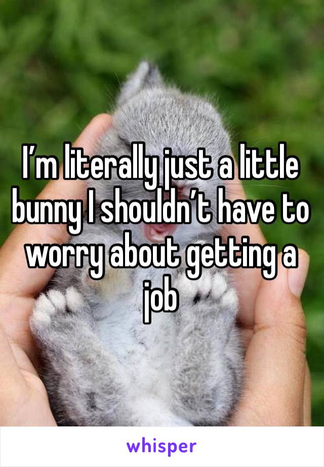 I’m literally just a little bunny I shouldn’t have to worry about getting a job