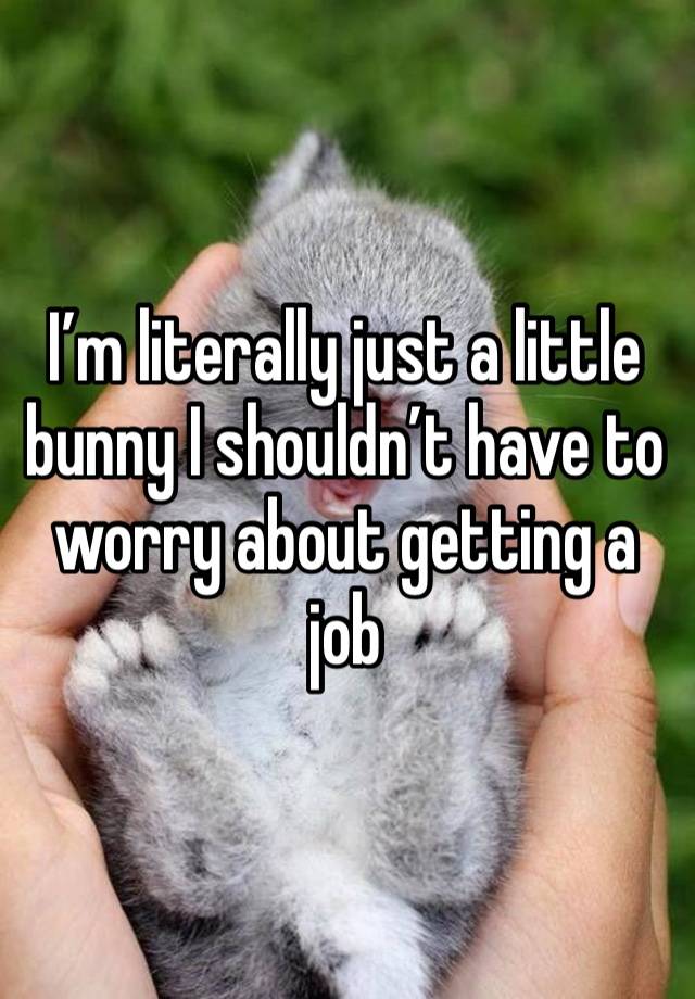 I’m literally just a little bunny I shouldn’t have to worry about getting a job