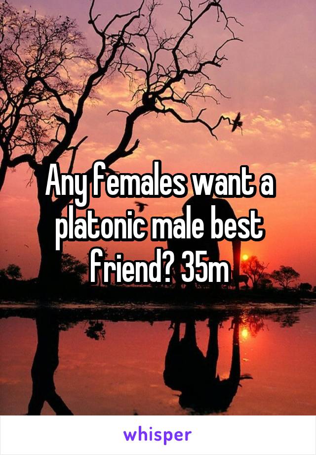 Any females want a platonic male best friend? 35m