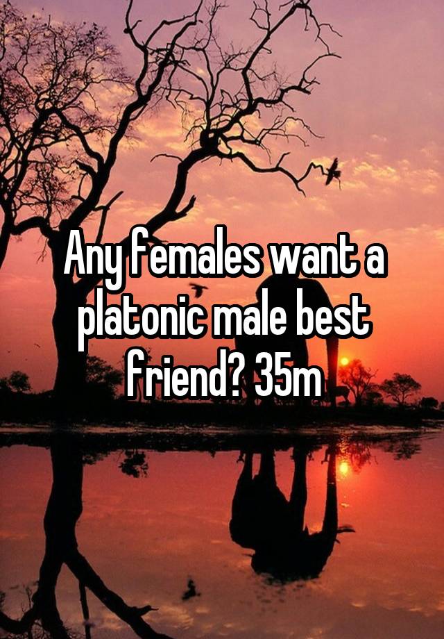 Any females want a platonic male best friend? 35m