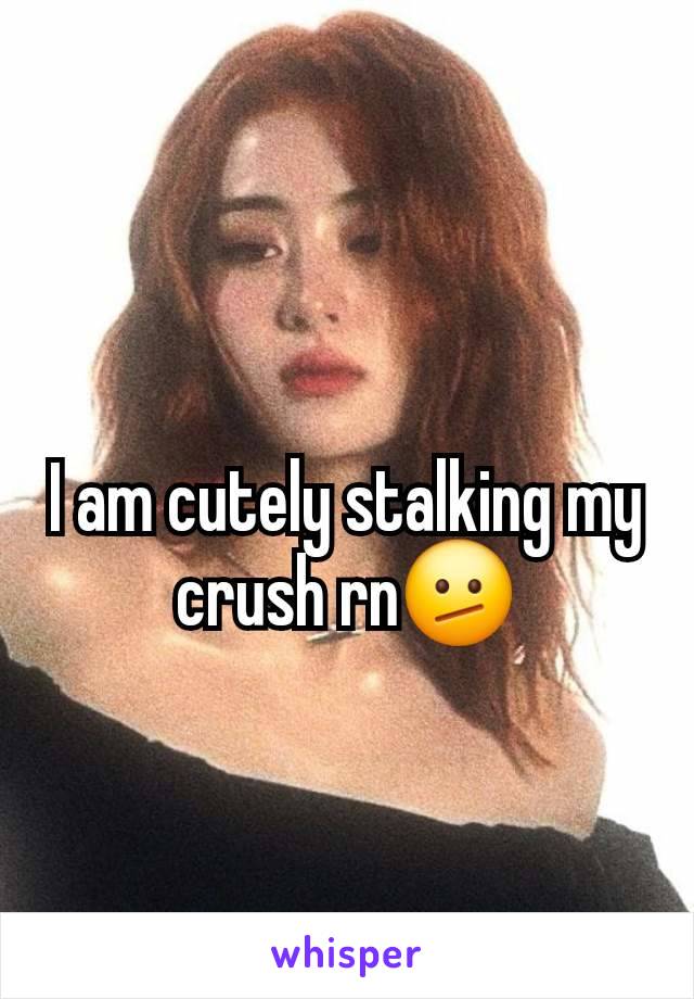 I am cutely stalking my crush rn🫤